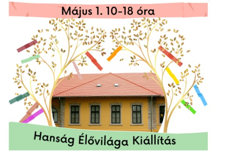 Május elsején nyitva lesz Öntésmajorban a Hanság élővilága kiállítás