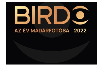 Birdo – Az év madárfotósa címen fotópályázatot írtak ki