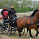 Fogathajtó verseny Bágyogszováton