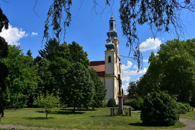 Szanyi körút fényképezőgéppel.