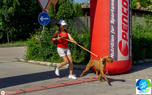 Sárkány Maraton a Szigetközi Állatvédő Liga támogatására