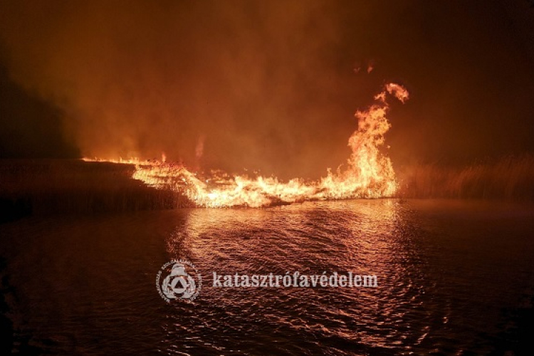 Több mint tizenkét órán át küzdöttek az égő nádassal a tűzoltók