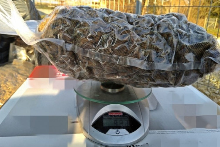 A kapuvári és a pápai nyomozók közös munkájának eredményeként foglaltak le csaknem 4 kiló kábítószert