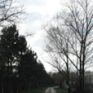 A Szanyi Horgásztó