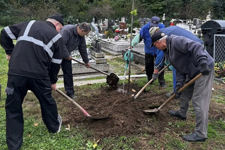 Fát ültettek és a temetőt rendezték Szilban