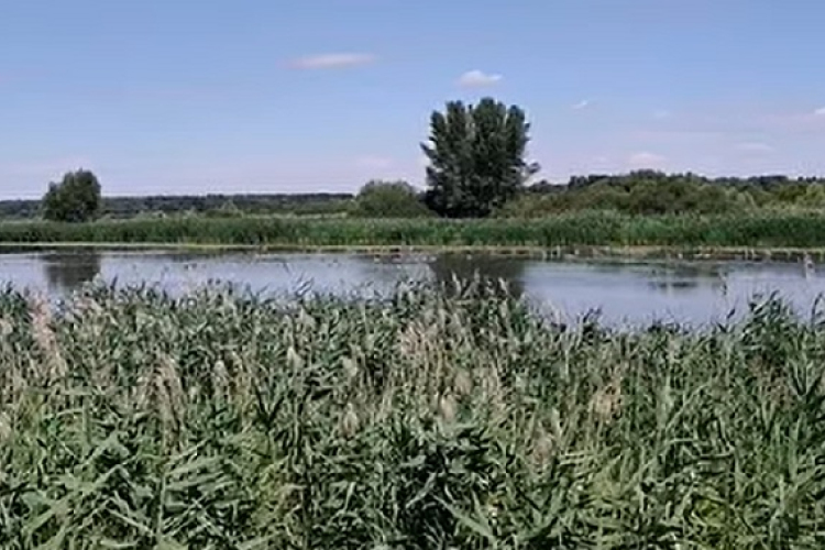 Madármegfigyelés a Nyirkai-Hanyban