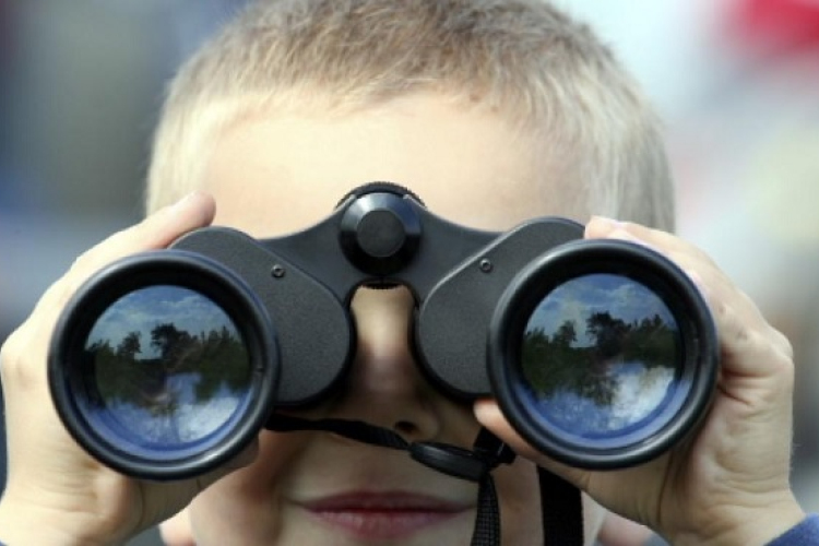 Több mint tízezren figyelték a madarakat