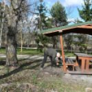 A Szanyi Horgásztó