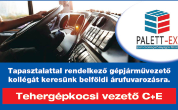 Tehergépkocsi vezetőt keresünk