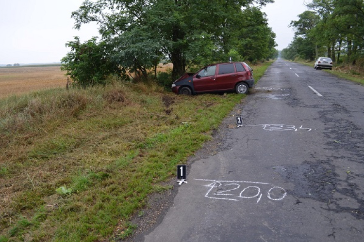 Fának hajtott a figyelmetlen autós