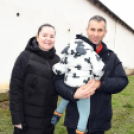 II. Falusi disznóvágás Szanyban.