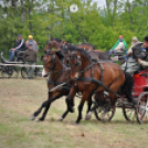 Fogathajtó verseny Bágyogszováton