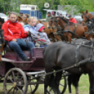 Fogathajtó verseny Bágyogszováton