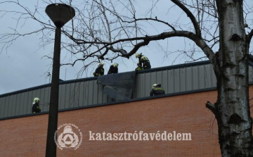 A viharos szél sok munkát adott a tűzoltóknak is
