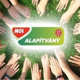 Faluszépítő társadalmi munka Rábapordányban