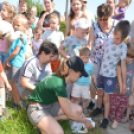Gólya Fesztivál Szany, 2025. június 14.