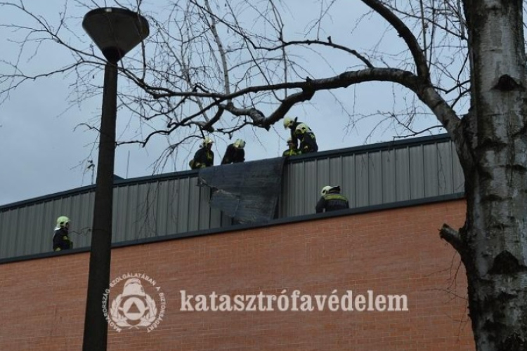 A viharos szél sok munkát adott a tűzoltóknak is
