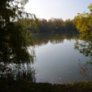 Szanyi ősz