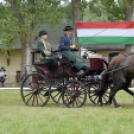 Árpási Fogathajtó Verseny