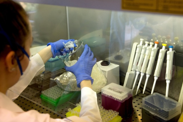 Szlávik: a tömeges szűrés önmagában nem oldja meg a helyzetet