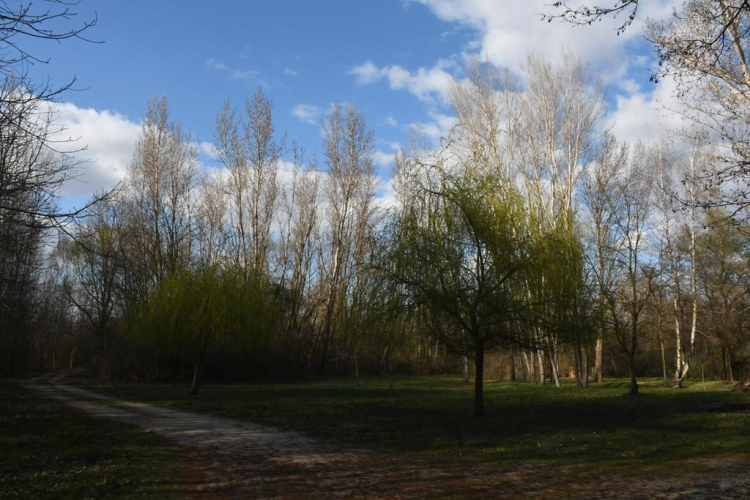 A Szanyi Horgásztó