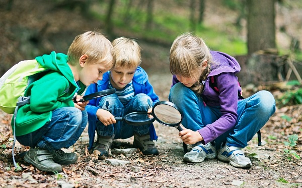 A föld bajnokai 2026