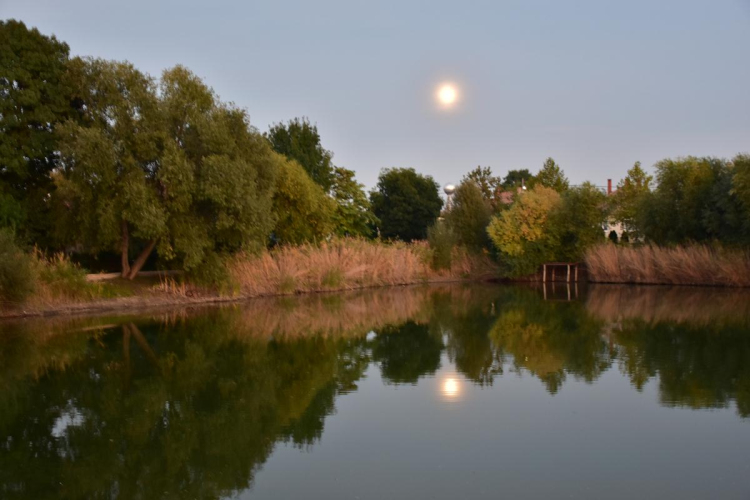 Alkonyat és este a szanyi Sárzó Parkban. (2022.10.07.)