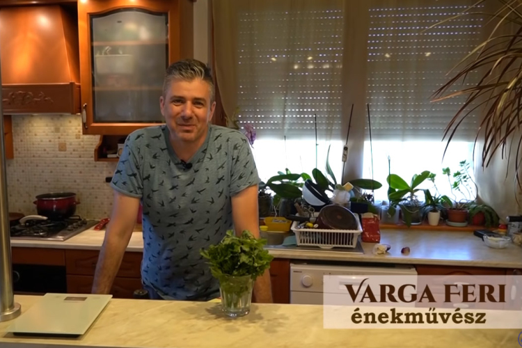 Diéta Percek, Gombapaprikás nokedlivel - VIDEÓ