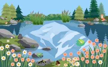 A vizes élőhelyek világa