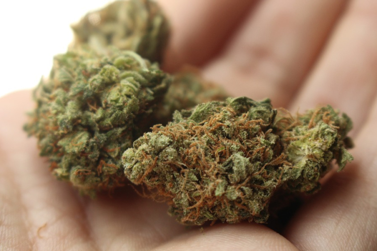 Kábítószert találtak a sofőrnél a csornai rendőrök