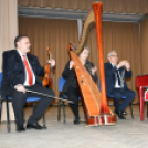 „Házhoz megy a kultúra elnevezésű” program Szanyban.