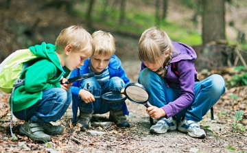 A föld bajnokai 2026