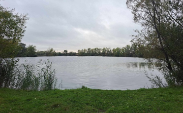 Európai Madármegfigyelő Napok a Kisalföldön