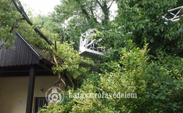 Kidőlt fák és lelógó faágak a vasárnap esti vihar után