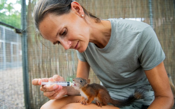 Jótékonysági árverés Babos Rita természetfotóiból