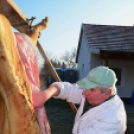 Hagyományőrző disznóölés Vásárosfalun