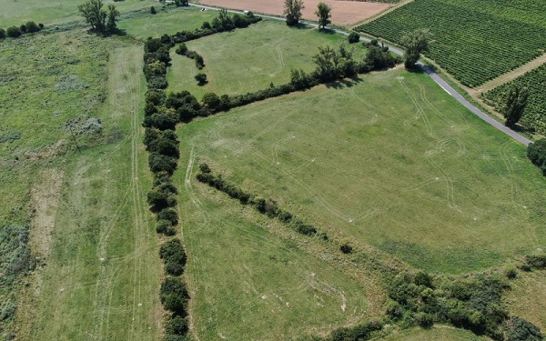 Kaszálások bejelentése a Natura 2000 területeken