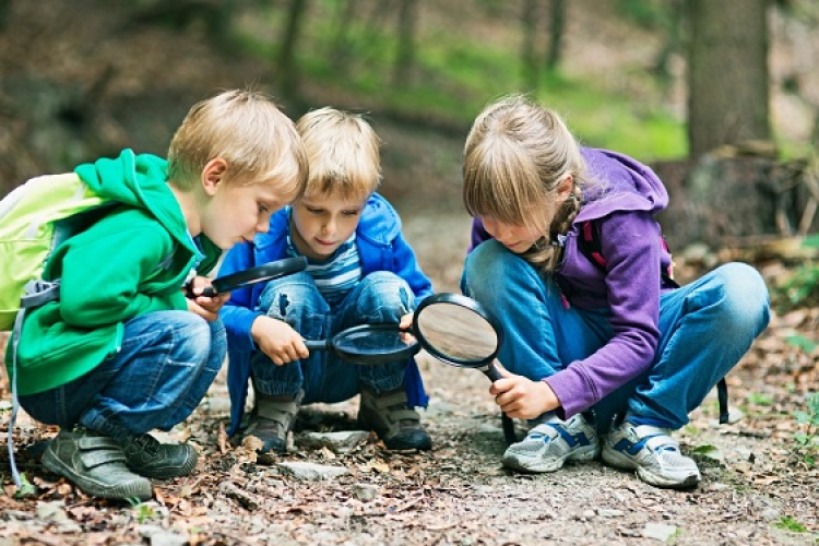 A föld bajnokai 2026