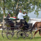 Árpási Fogathajtó Verseny