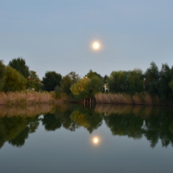 Alkonyat és este a szanyi Sárzó Parkban. (2022.10.07.)