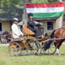 Árpási Fogathajtó Verseny