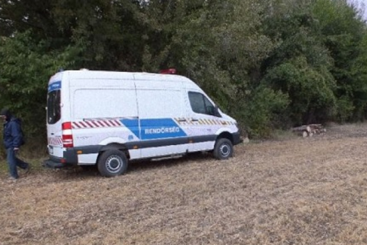 Őrizetben a kábítószer termesztő