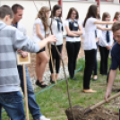 Megyei Széchenyi Iskolák Találkozója délelőtti programjai