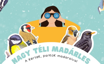 Nagy téli madárles