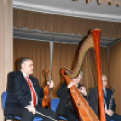 „Házhoz megy a kultúra elnevezésű” program Szanyban.