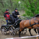 Fogathajtó verseny Bágyogszováton