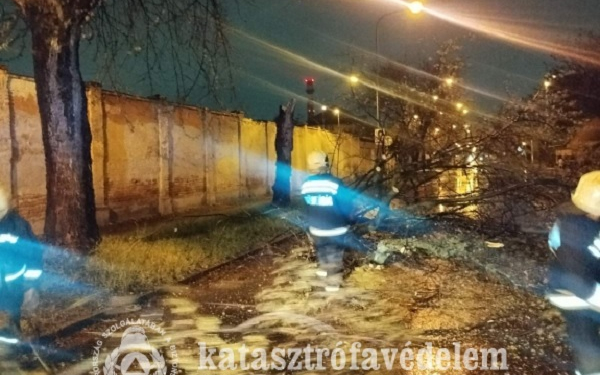 Több napig tombolt a szélvihar a megyében