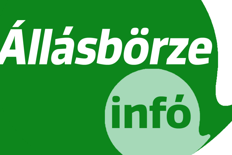 Heti Állásbörze a Szuperinfóból