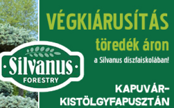 Végkiárusítás a Silvanus díszfaiskolában!