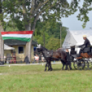 Árpási Fogathajtó Verseny